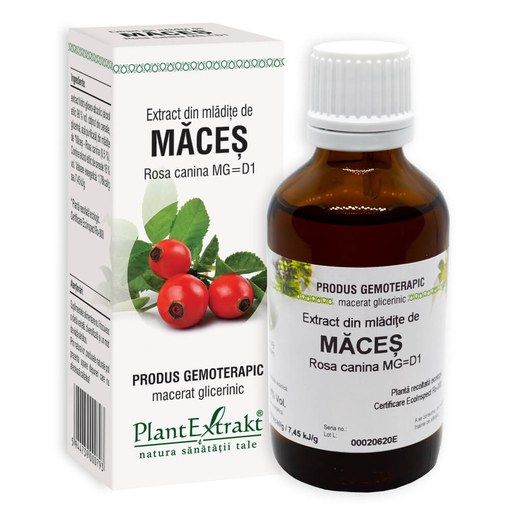 extract-din-mladite-de-maces-50ml-plantextrakt_7021_eaf933e491