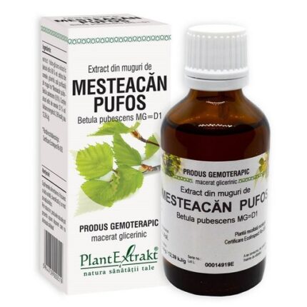 Extract din muguri de Mesteacan Pufos, 50ml, PlantExtrakt